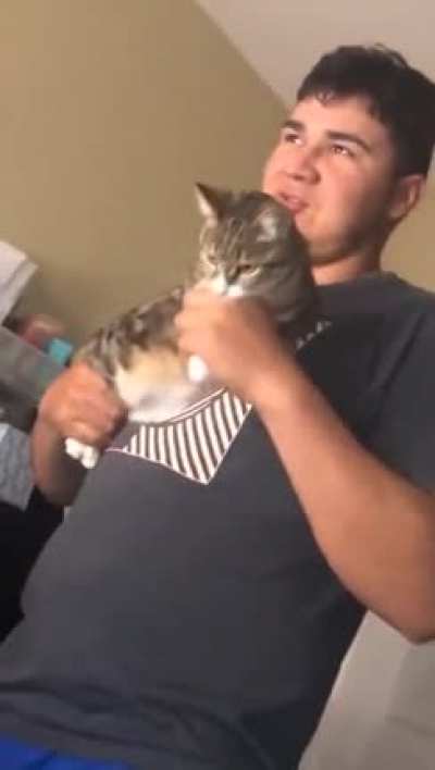 Cat Machine Gun
