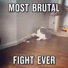 Best Boxing Match Ever 🙌