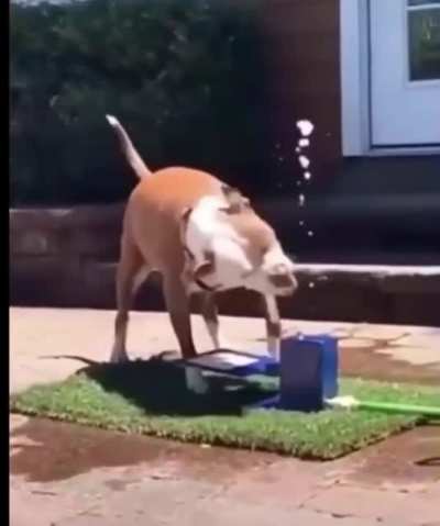 Maybe maybe maybe