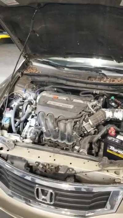 Customer States: Hesitation on acceleration