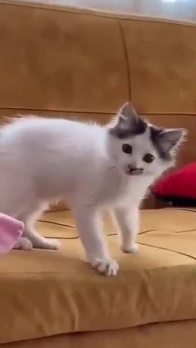 Au