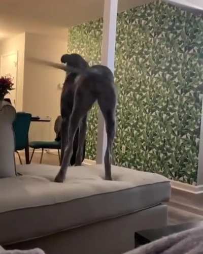 He's So Happy