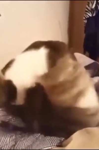 AAAAAAAAAAAAAAAAAAA