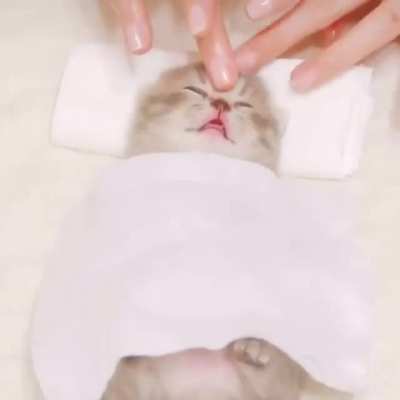 Cute Baby