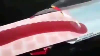 Julie Buli Peet Rat Gummi Candiiii