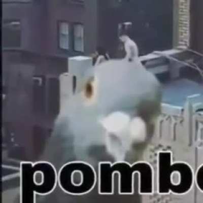 OBMOP
