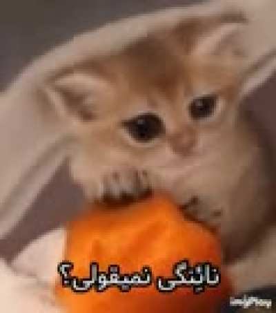 ؟؟