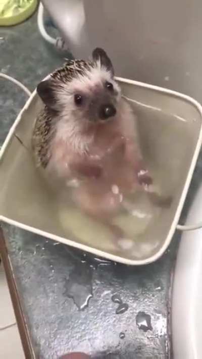lil grabbies splish splashing