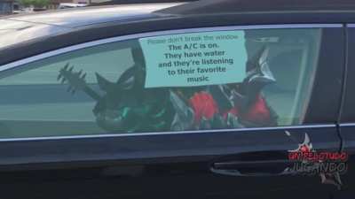 Please don't break the window