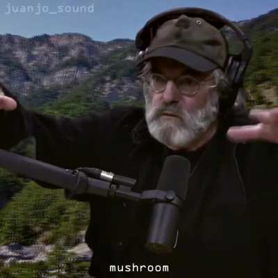 Paul Stamets - Chasing Mushrooms ♫