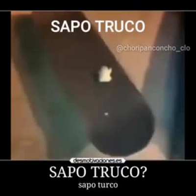 sapo