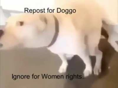Ok