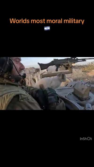Kitten on a tank inside gaza (reposted from TikTok)