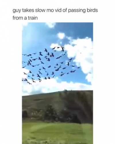Nature is so wonderful