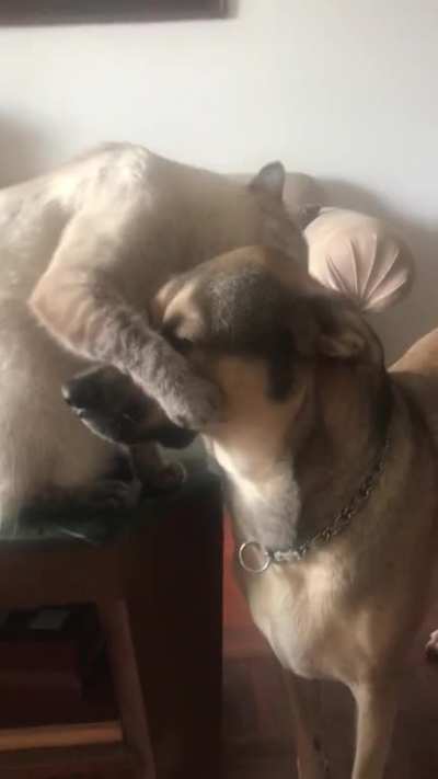 Is this love?