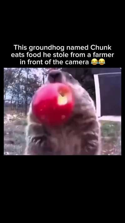 What a madlad