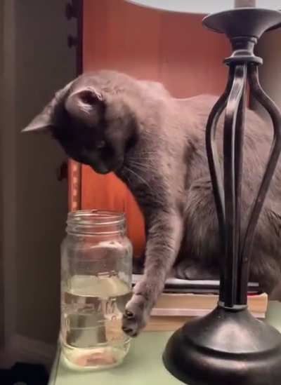Close Call