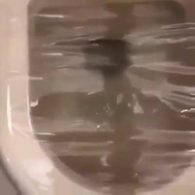 Task failed successfully.