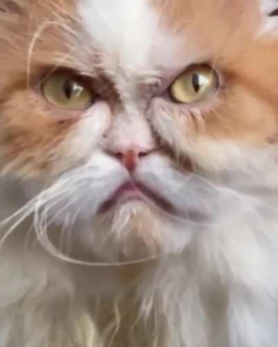 òó