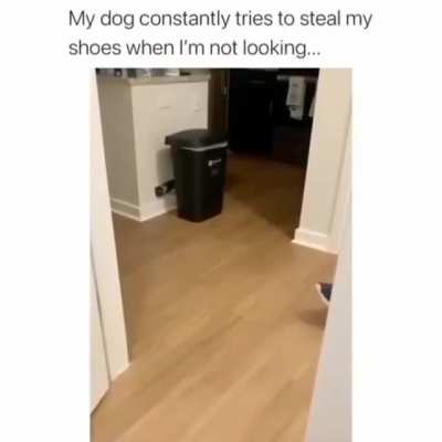 Cute Little Thief!