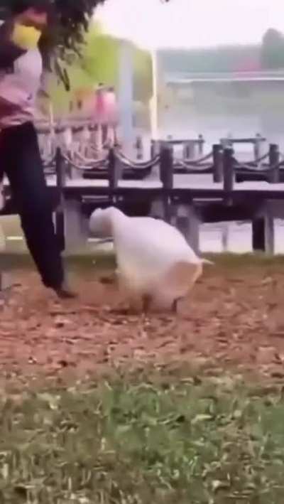 Fatality