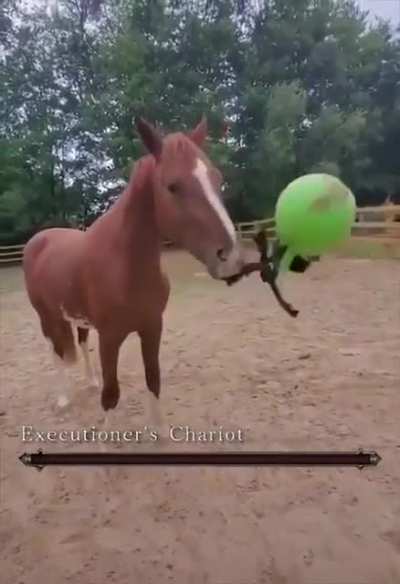 Boss fight.