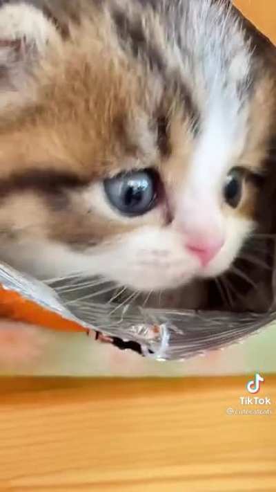 Crime!
