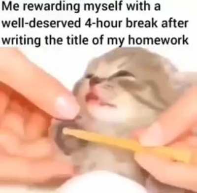 Me after 5 minutes of work