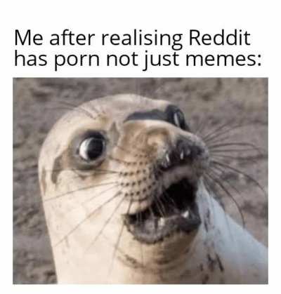 What have I been doing the entire time?