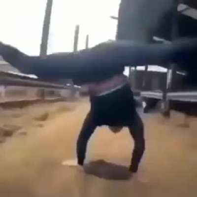 HABILIDADE