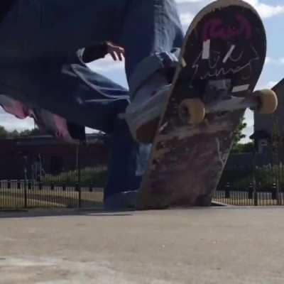 Summer Highlights