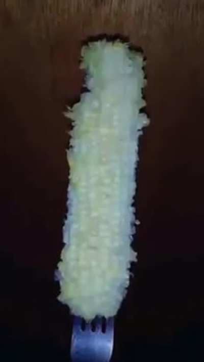 🌽🌽🌽
