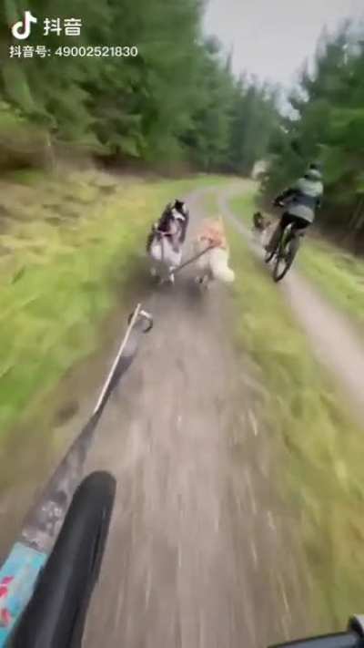 Бля 🙄