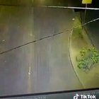 Back to the future - Brazilian Version