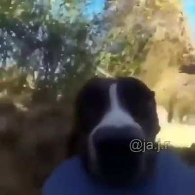 Begone thot