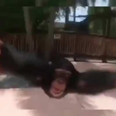 Watched this far too many times