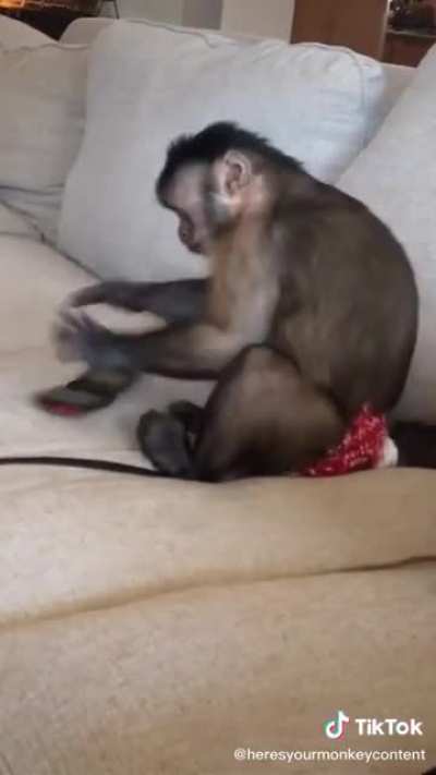 Peruano cuando le regalan un móvil nuevo y ve que no se puede instalar el free fire