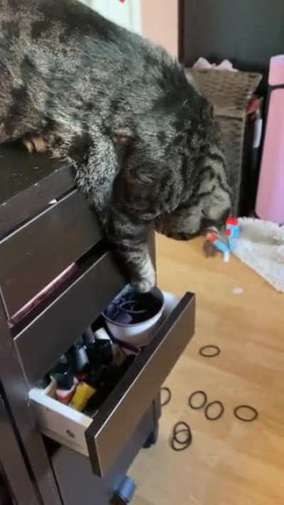 This is why all my hair ties disappear