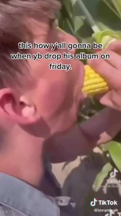 Nbs