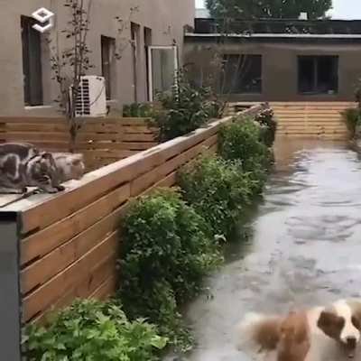 Бежать по воде, бежать по воде, бежать по воде со мной
