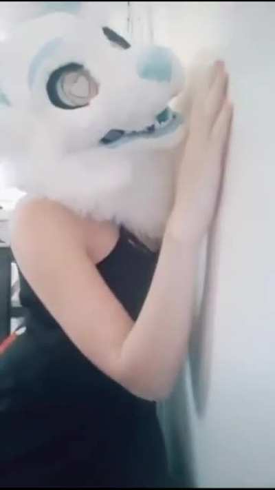 Furry gamer
