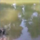Fishing with father