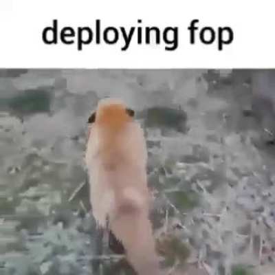 Fop