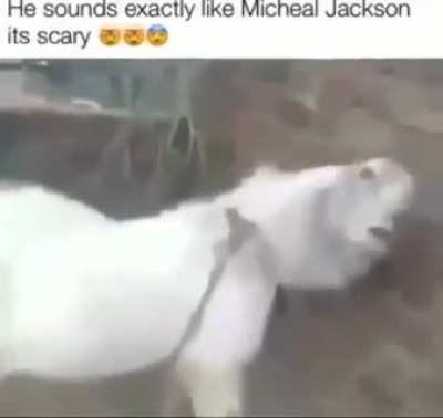 Micheal Jaeckson