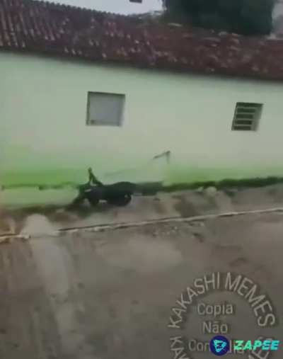 e os velinho