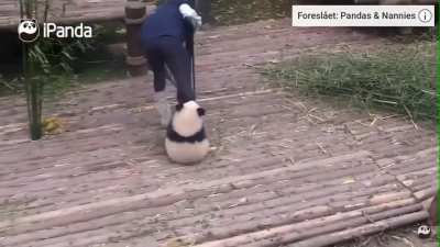 I love the when they mess with their keepers.