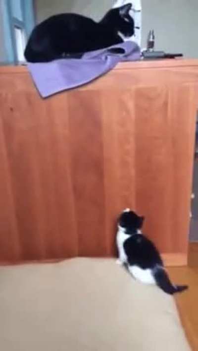 Persistence