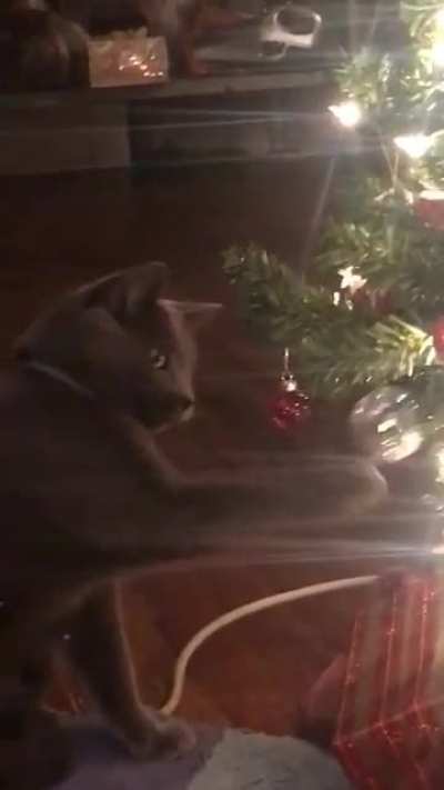 Must tap shiny object