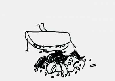 [A] Taco Tuesday