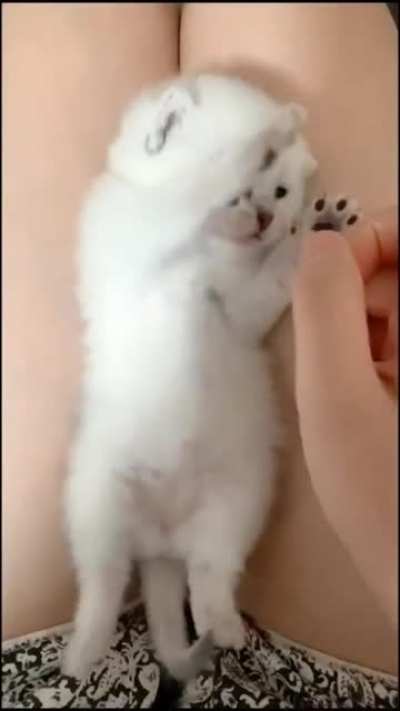 Very smol